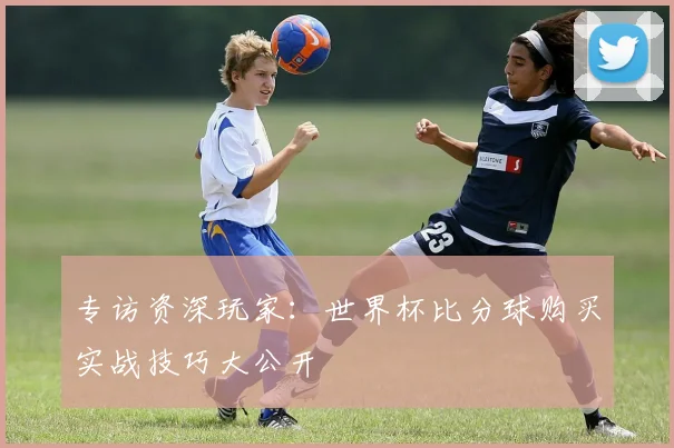 专访资深玩家:世界杯比分球购买实战技巧大公开