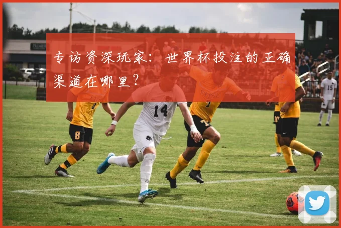 专访资深玩家:世界杯投注的正确渠道在哪里?