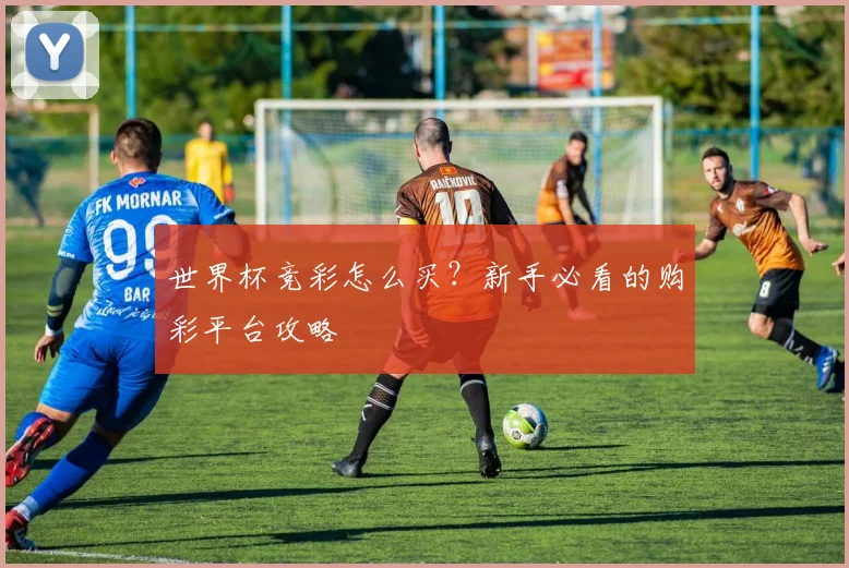 世界杯竞彩怎么买？新手必看的购彩平台攻略