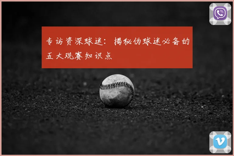 专访资深球迷：揭秘伪球迷必备的五大观赛知识点