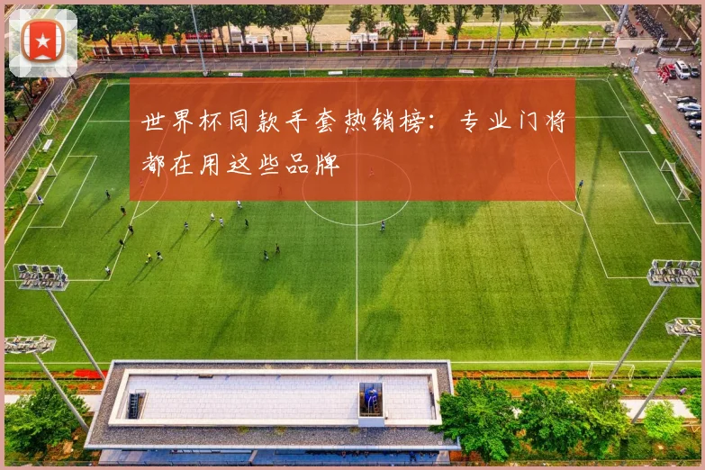 世界杯同款手套热销榜：专业门将都在用这些品牌
