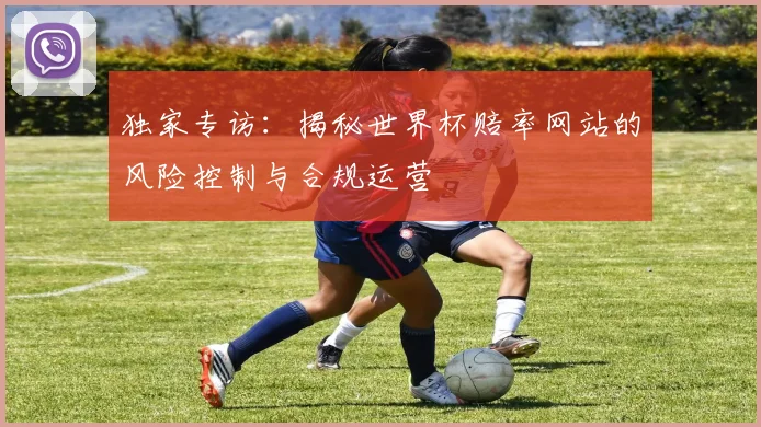 独家专访：揭秘世界杯赔率网站的风险控制与合规运营